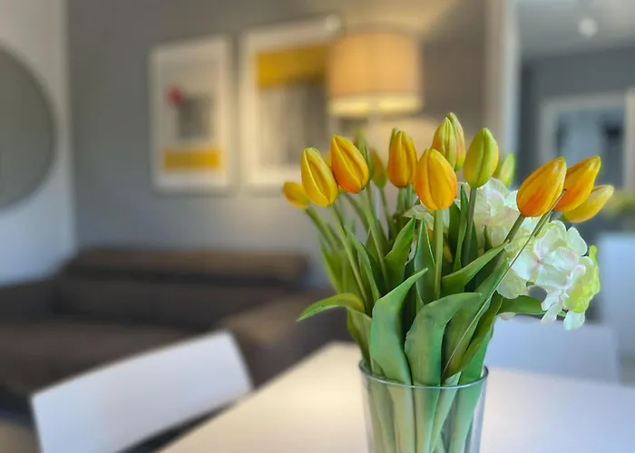 Vatican 317 * רומא